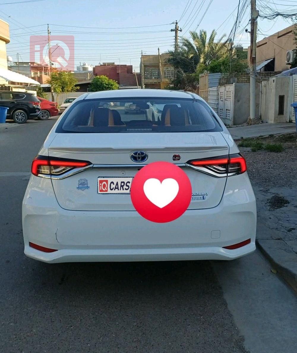 تويوتا كورولا